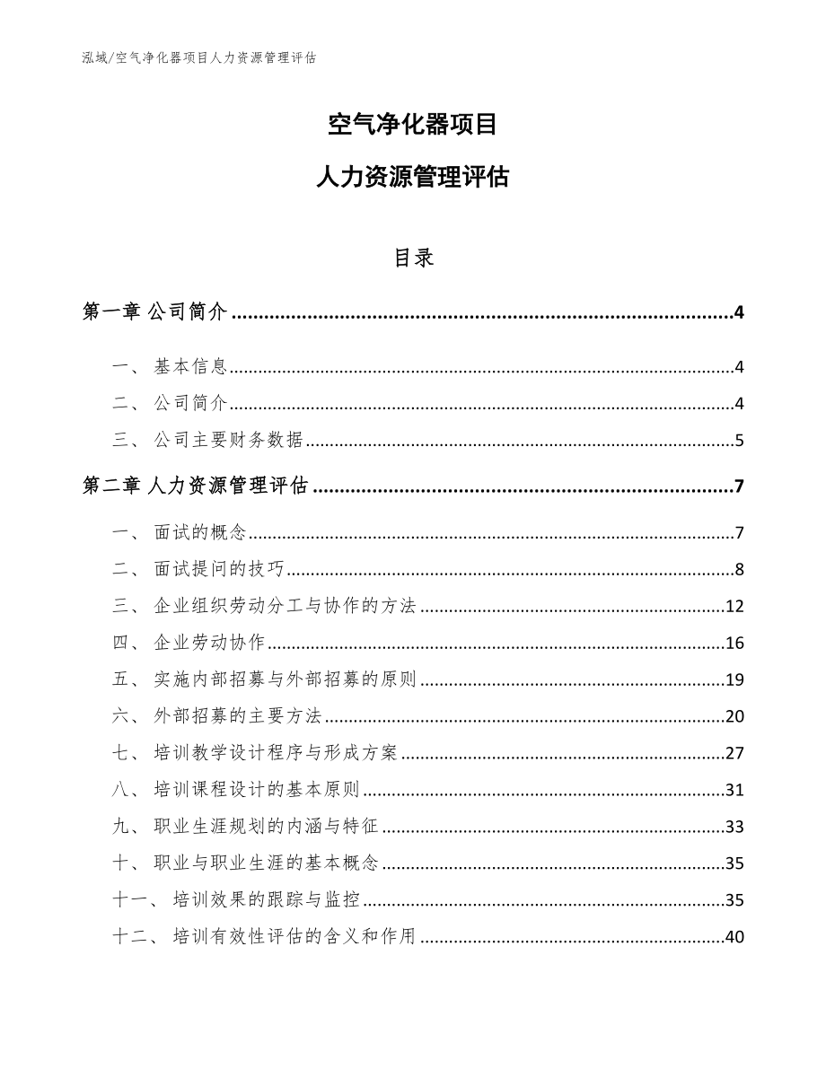 空气净化器项目人力资源管理评估_第1页