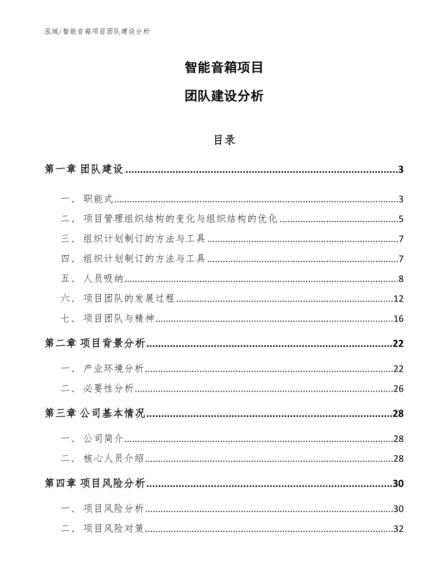 智能音箱项目团队建设分析_范文_第1页