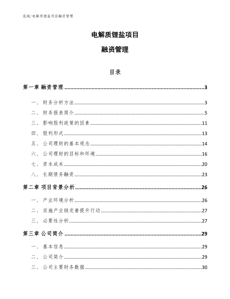 电解质锂盐项目融资管理_第1页