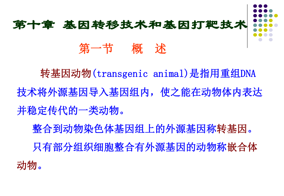 基因转移技术和基因打靶技术_第1页