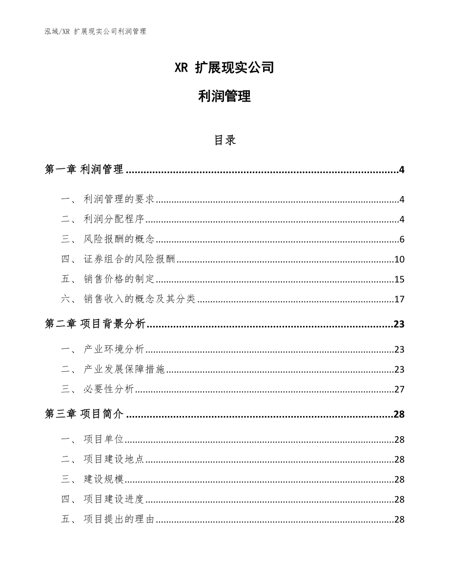 XR 扩展现实公司利润管理_第1页