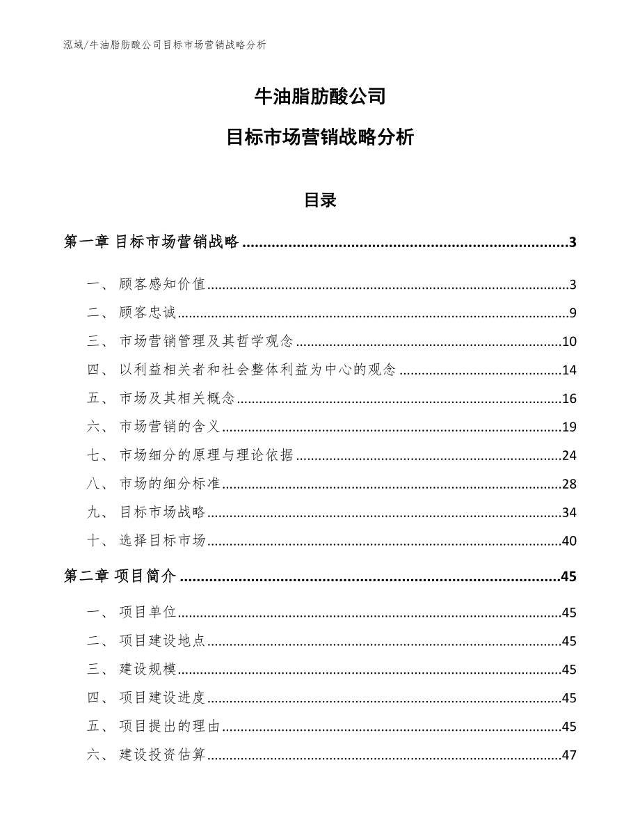 牛油脂肪酸公司目标市场营销战略分析【参考】_第1页