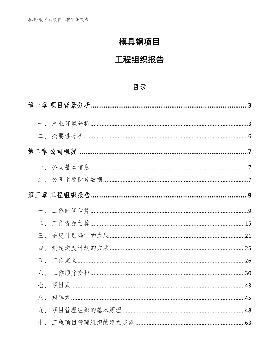 模具钢项目工程组织报告【范文】_第1页