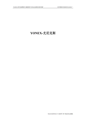 【精品】YONEX尤尼克斯门户网站营销策划书