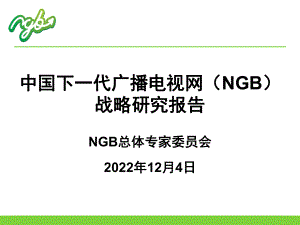 中国下一代广播电视网NGB战略研究报告