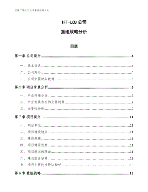 TFT-LCD公司重组战略分析