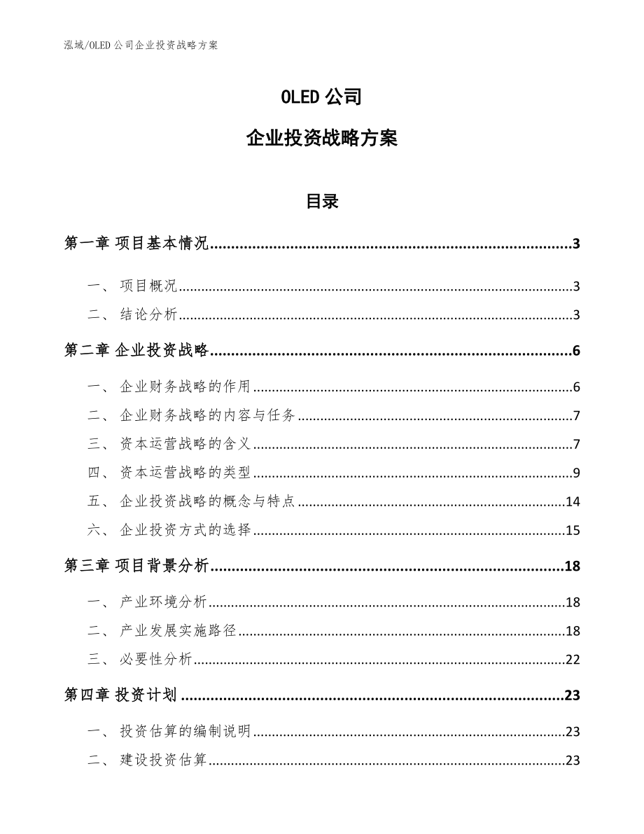 OLED公司企业投资战略方案（范文）_第1页