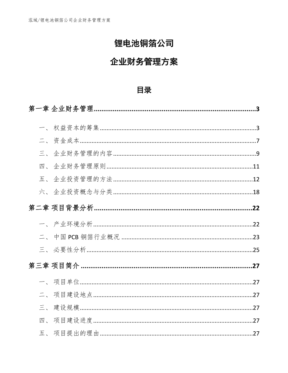 锂电池铜箔公司企业财务管理方案（范文）_第1页