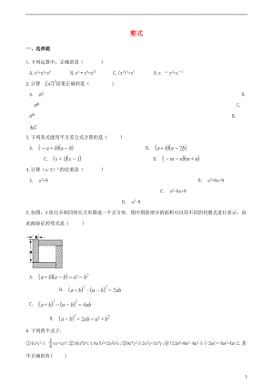 2018年中考數(shù)學專題復習卷 整式（含解析）