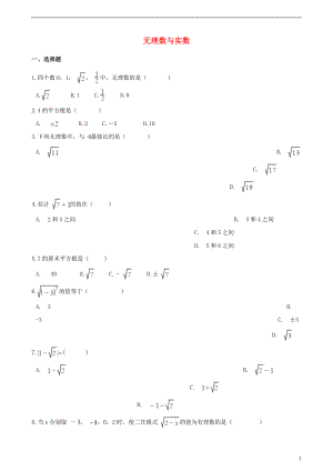 2018年中考數(shù)學(xué)專題復(fù)習(xí)卷 無理數(shù)與實數(shù)（含解析）
