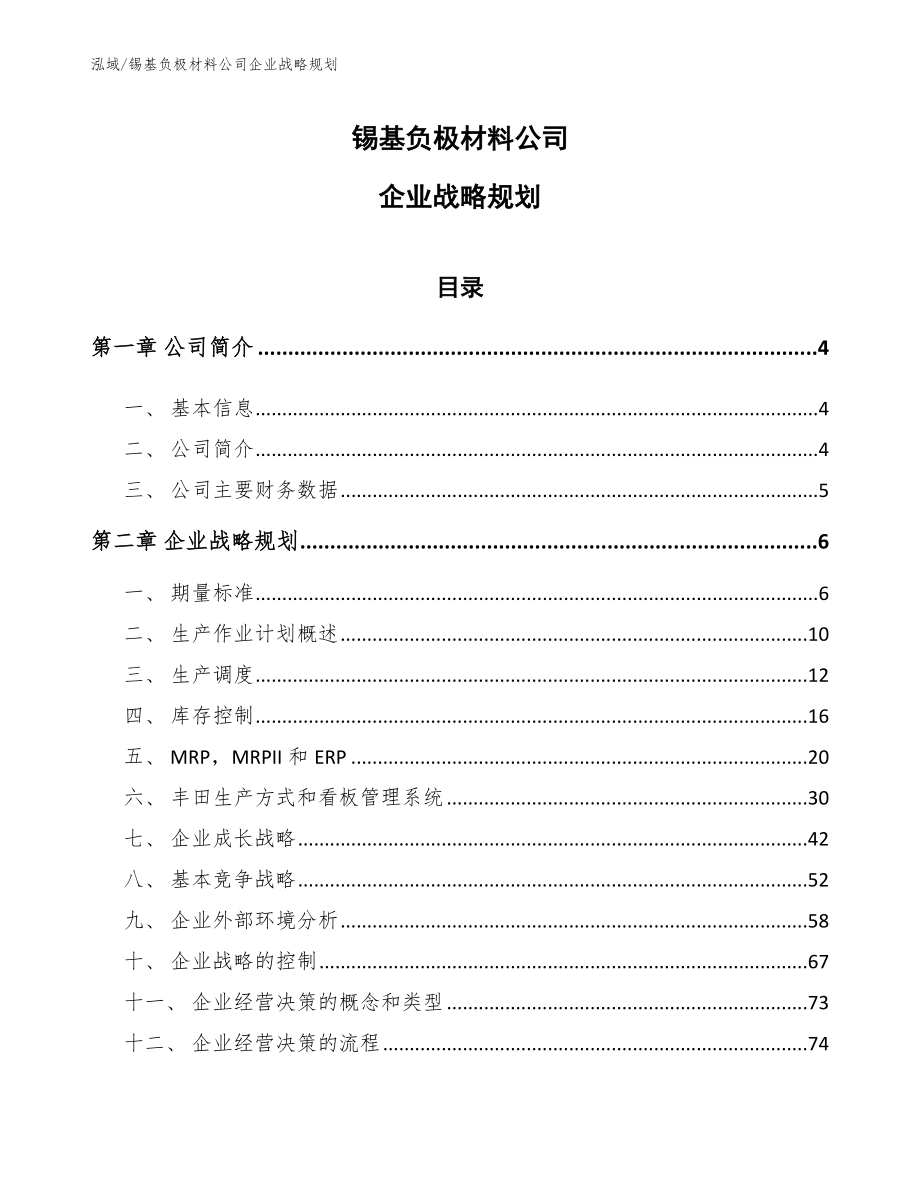 锡基负极材料公司企业战略规划【范文】_第1页