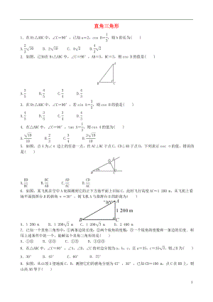 2018年中考數(shù)學(xué)專項復(fù)習(xí) 直角三角形綜合訓(xùn)練題