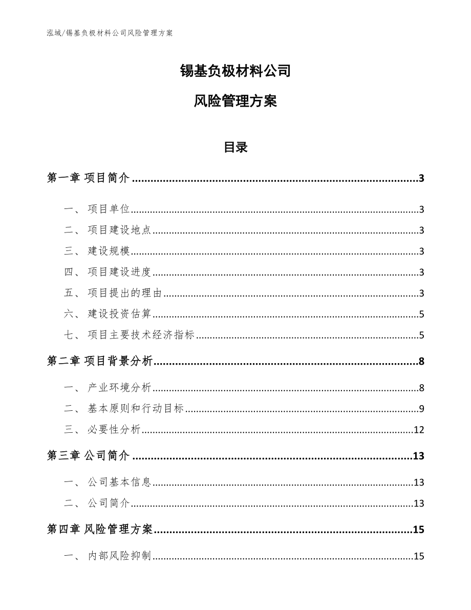 锡基负极材料公司风险管理方案（范文）_第1页