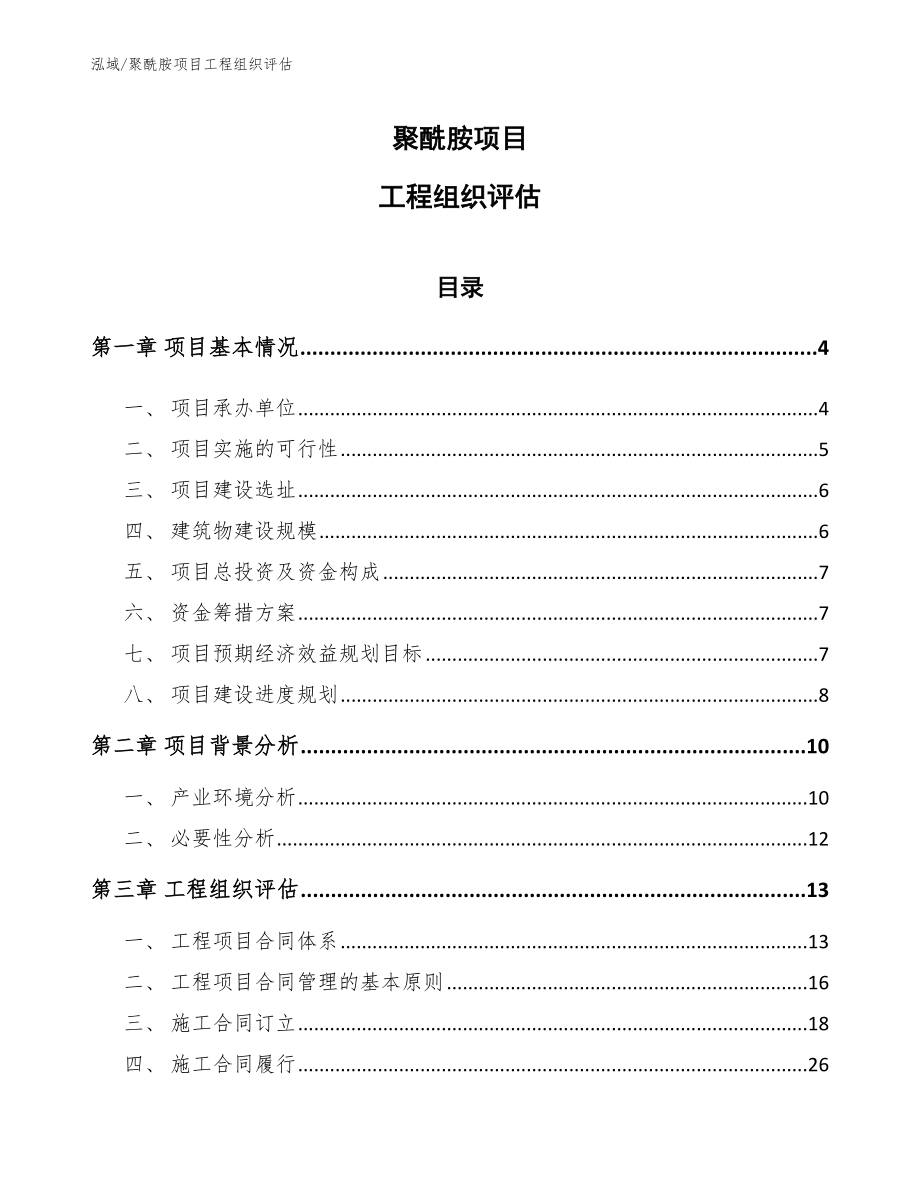 聚酰胺项目工程组织评估_参考_第1页