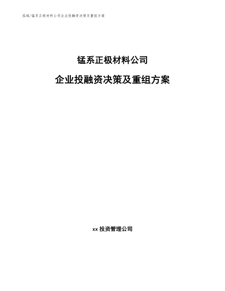 锰系正极材料公司企业投融资决策及重组方案_参考_第1页