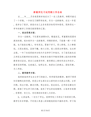 新教师见习试用期工作总结(3篇)