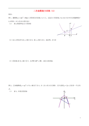 2018中考數(shù)學專題復習 二次函數(shù)能力訓練（4）（無答案）