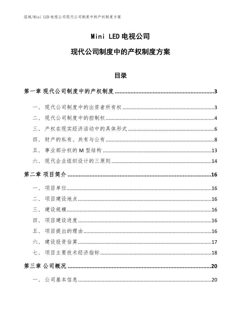 Mini LED电视公司现代公司制度中的产权制度方案【参考】_第1页