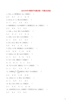 2018年中考數(shù)學(xué)專題訓(xùn)練 代數(shù)式求值