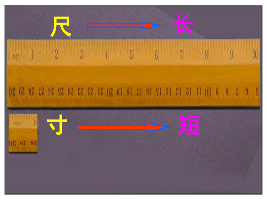 人教版四年级语文上册尺有所短寸有所长_第1页