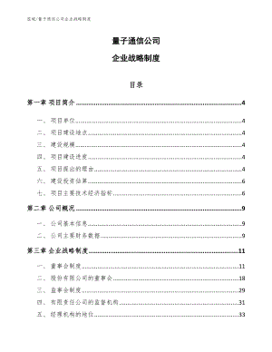 量子通信公司企业战略制度