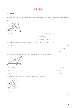 2018年中考數(shù)學專題復習模擬演練 全等三角形