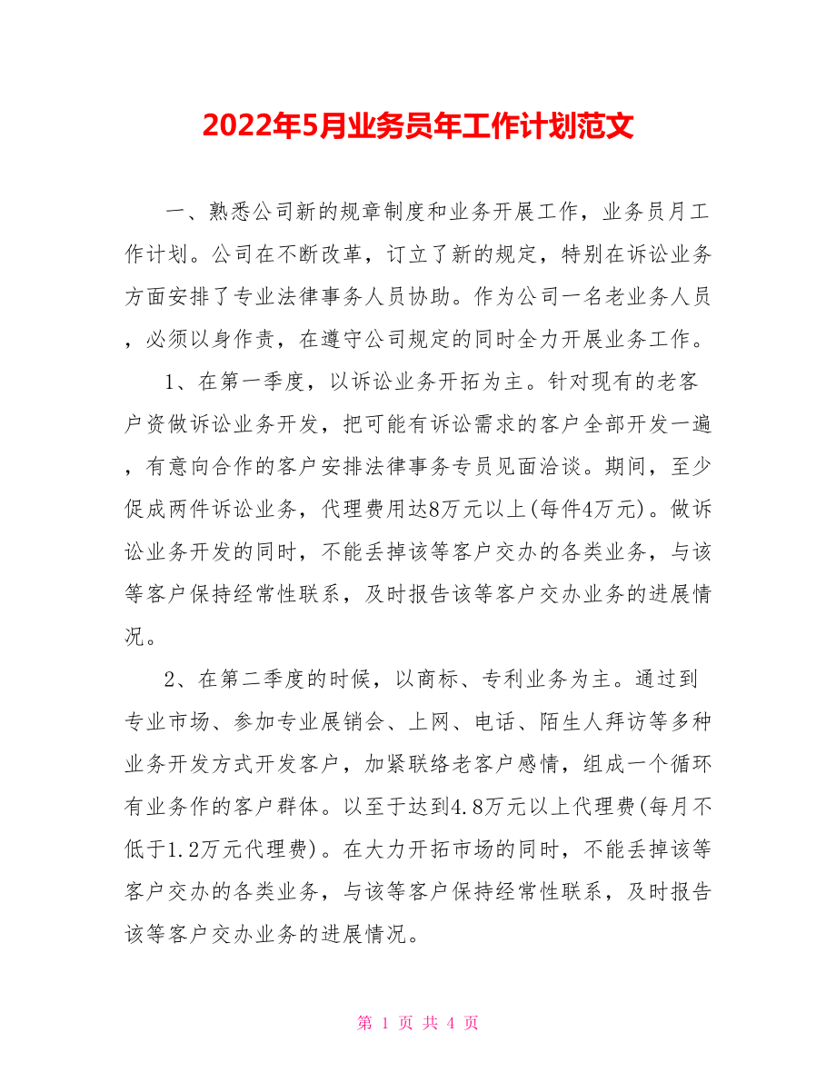 2022年5月业务员年工作计划范文_第1页