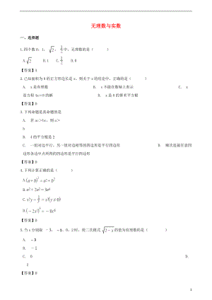 2018年中考數(shù)學(xué)專(zhuān)題復(fù)習(xí)模擬演練 無(wú)理數(shù)與實(shí)數(shù)