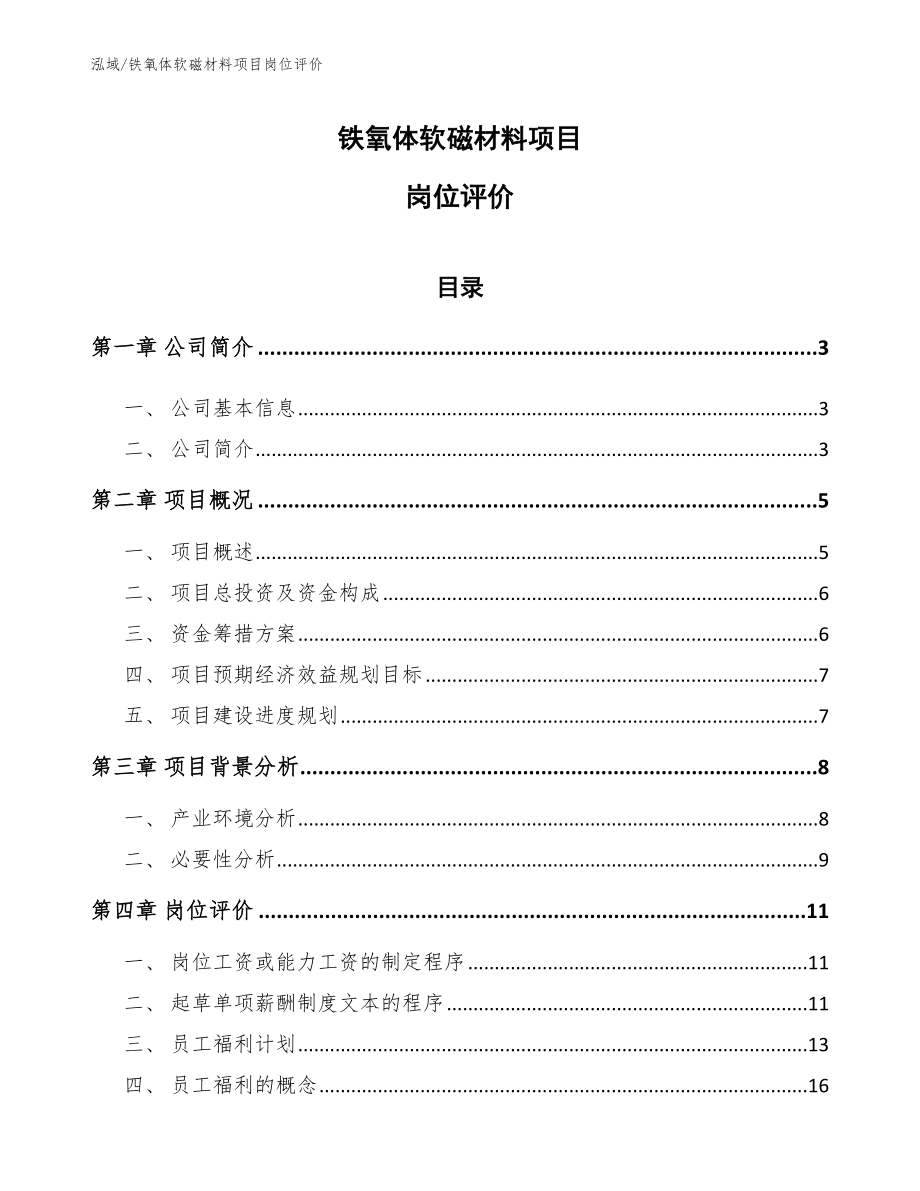 铁氧体软磁材料项目岗位评价_范文_第1页