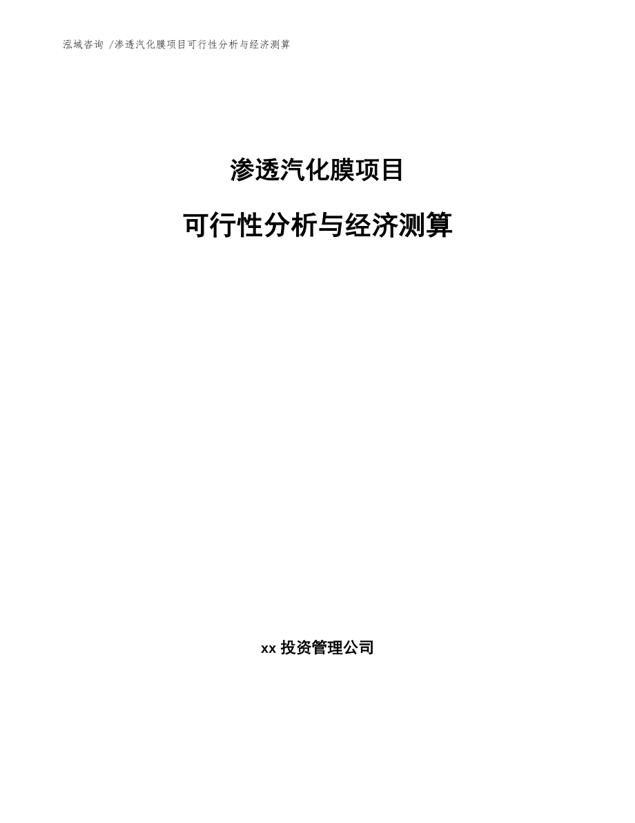 渗透汽化膜项目可行性分析与经济测算（范文模板）_第1页