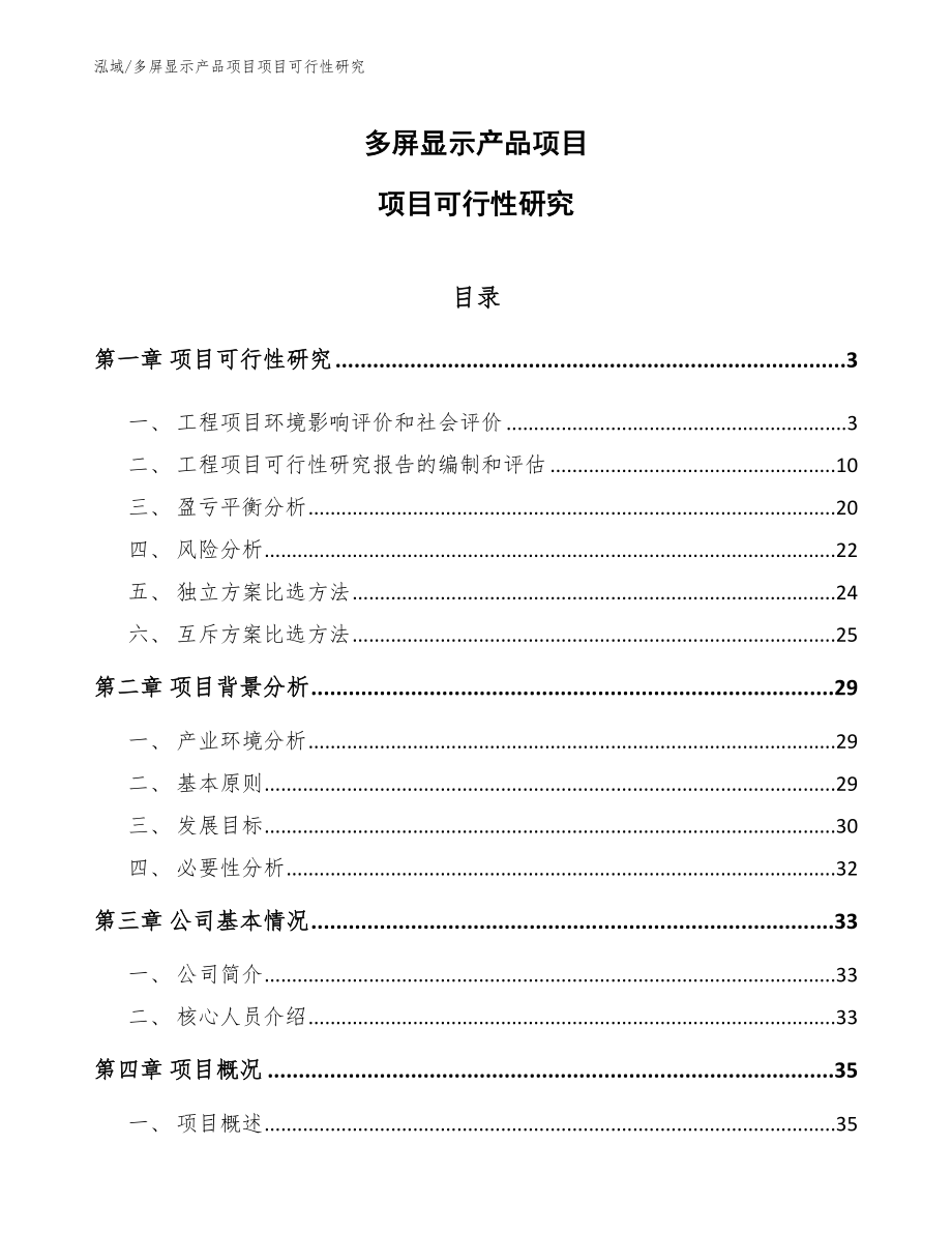 多屏显示产品项目项目可行性研究（范文）_第1页