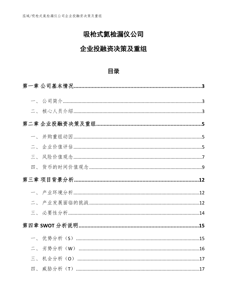 吸枪式氦检漏仪公司企业投融资决策及重组【范文】_第1页