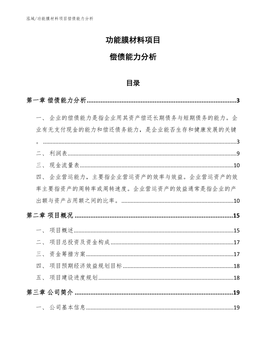 功能膜材料项目偿债能力分析（参考）_第1页