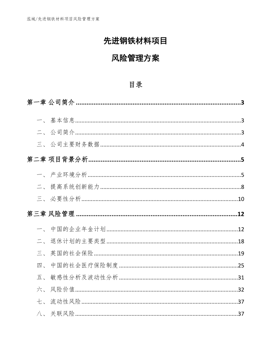 先进钢铁材料项目风险管理方案_范文_第1页