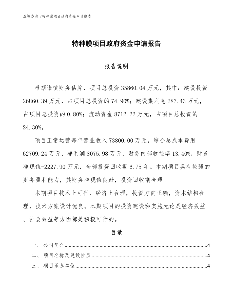 特种膜项目政府资金申请报告_第1页