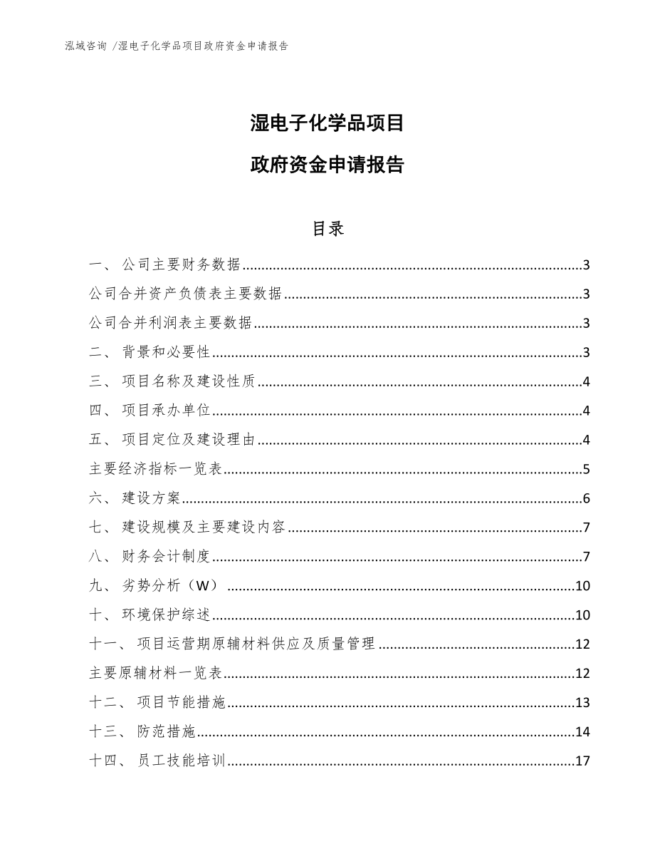 湿电子化学品项目政府资金申请报告_第1页