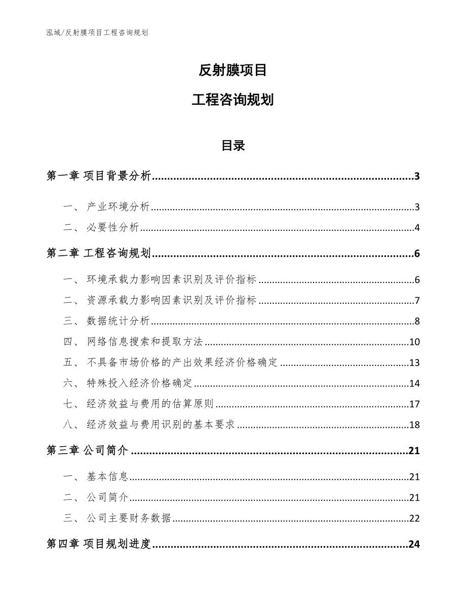 反射膜项目工程咨询规划_范文_第1页