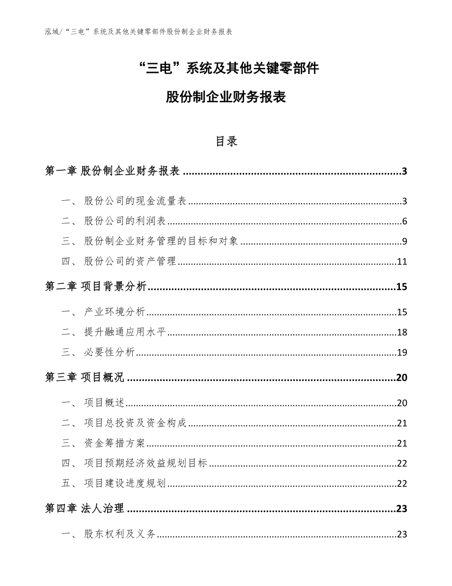 “三电”系统及其他关键零部件股份制企业财务报表_范文_第1页