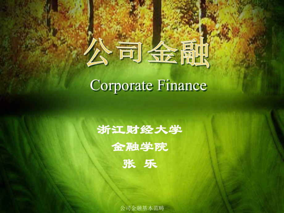 公司金融基本范畴课件_第1页