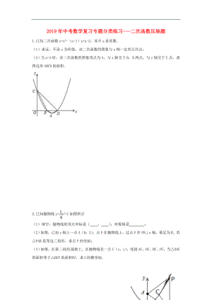 2019年中考數(shù)學(xué)專題復(fù)習(xí) 分類練習(xí) 二次函數(shù)壓軸題（無答案）