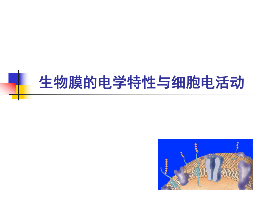 胡优敏电生理学技术及临床应用细胞电生理学基础02_第1页