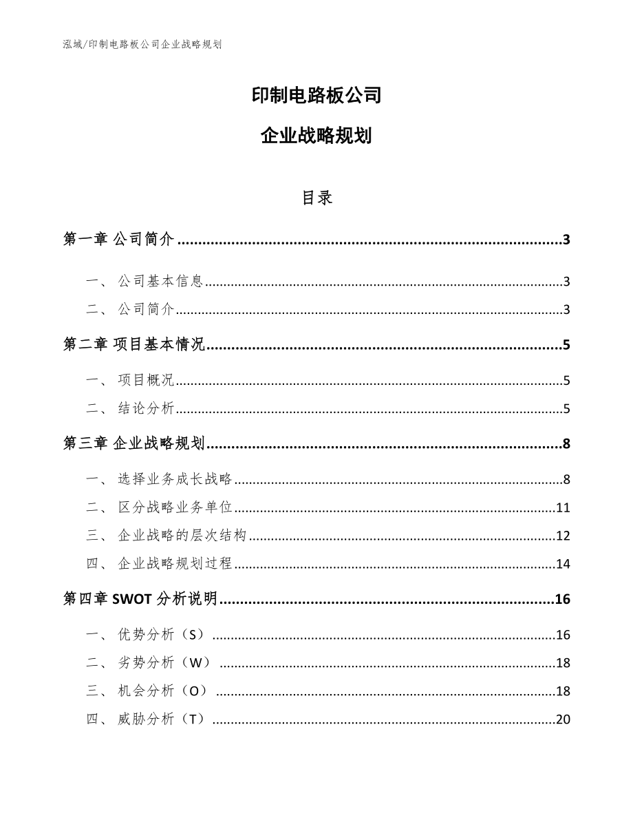 印制电路板公司企业战略规划_范文_第1页