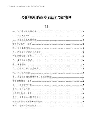 硅基异质外延项目可行性分析与经济测算-模板
