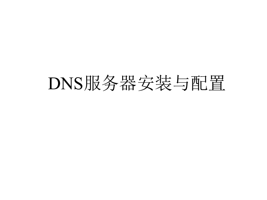 DNS服务器的安装与配置详解_第1页