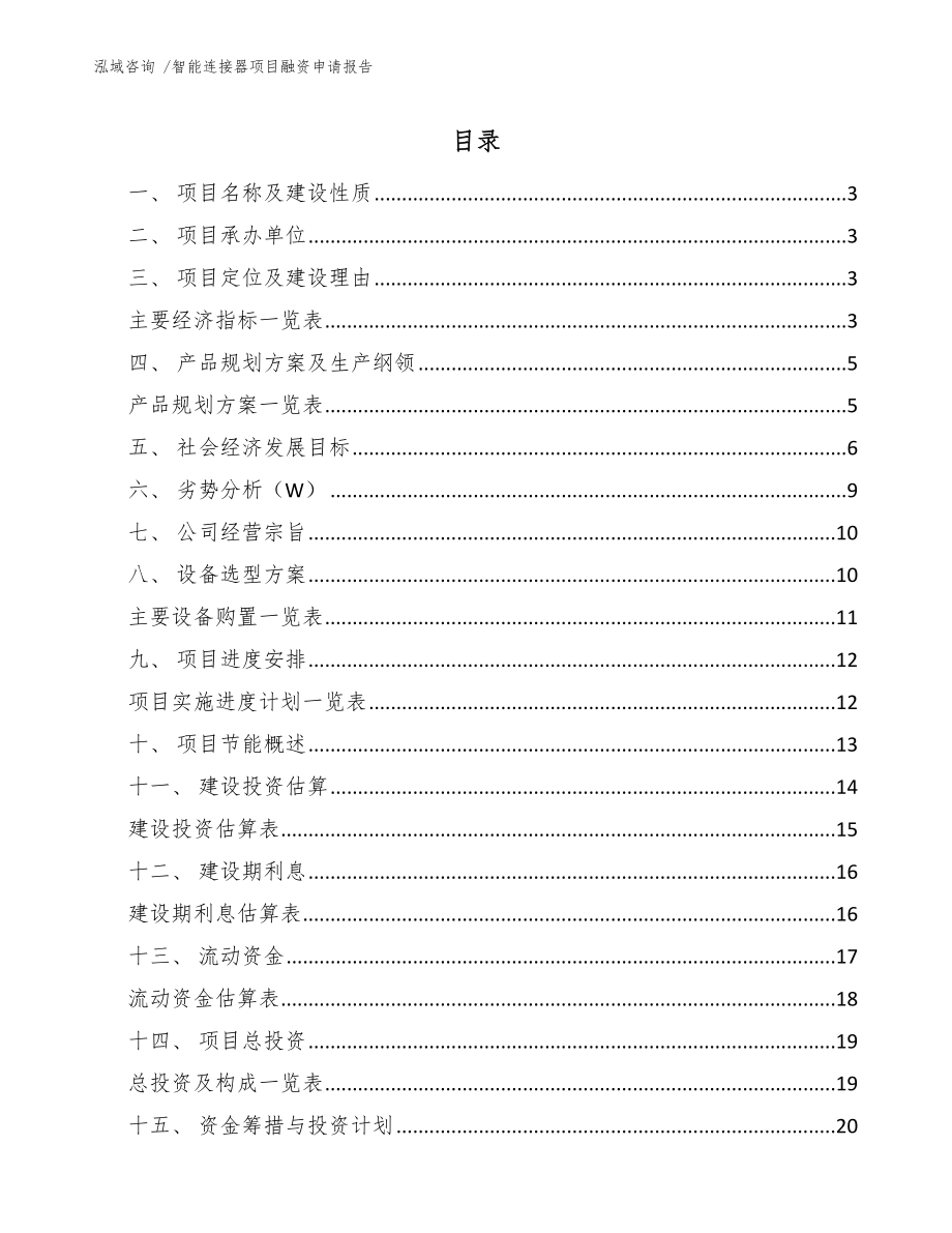 智能连接器项目融资申请报告_第1页