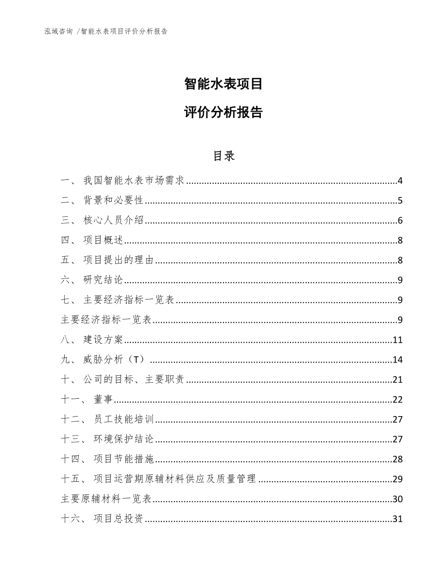 智能水表项目评价分析报告_第1页