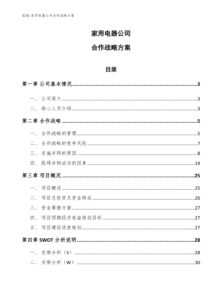 家用电器公司合作战略方案【范文】_第1页