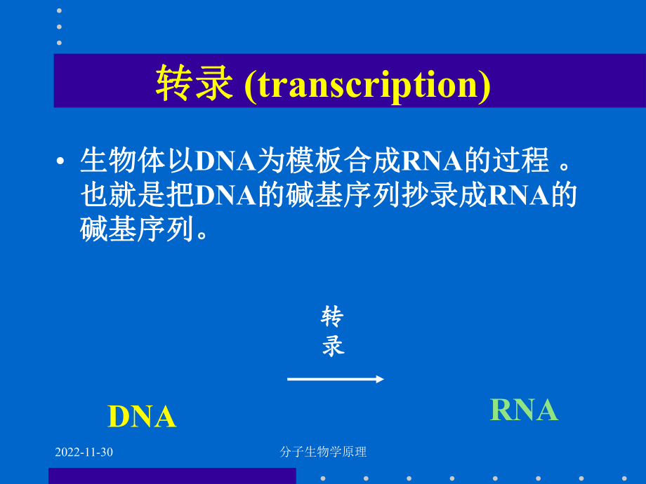 分子生物学原理RNA生物合成课件_第1页