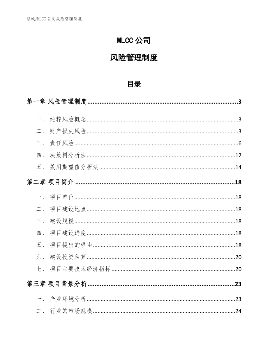 MLCC公司风险管理制度（范文）_第1页