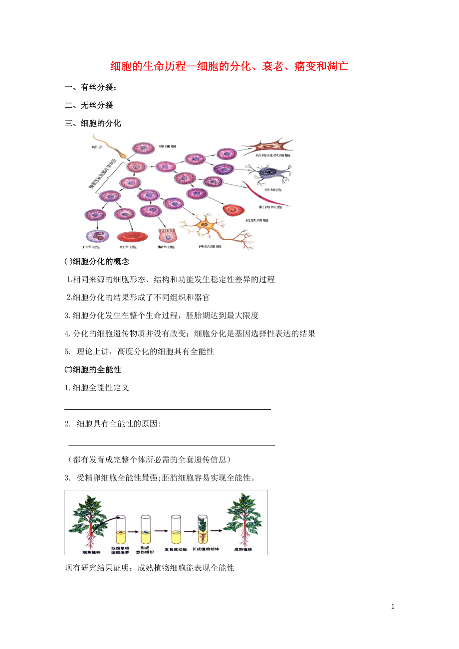 北京市第四中學(xué)高考生物專題復(fù)習(xí)2細(xì)胞的分化衰老癌變和凋亡學(xué)案0817163_第1頁(yè)